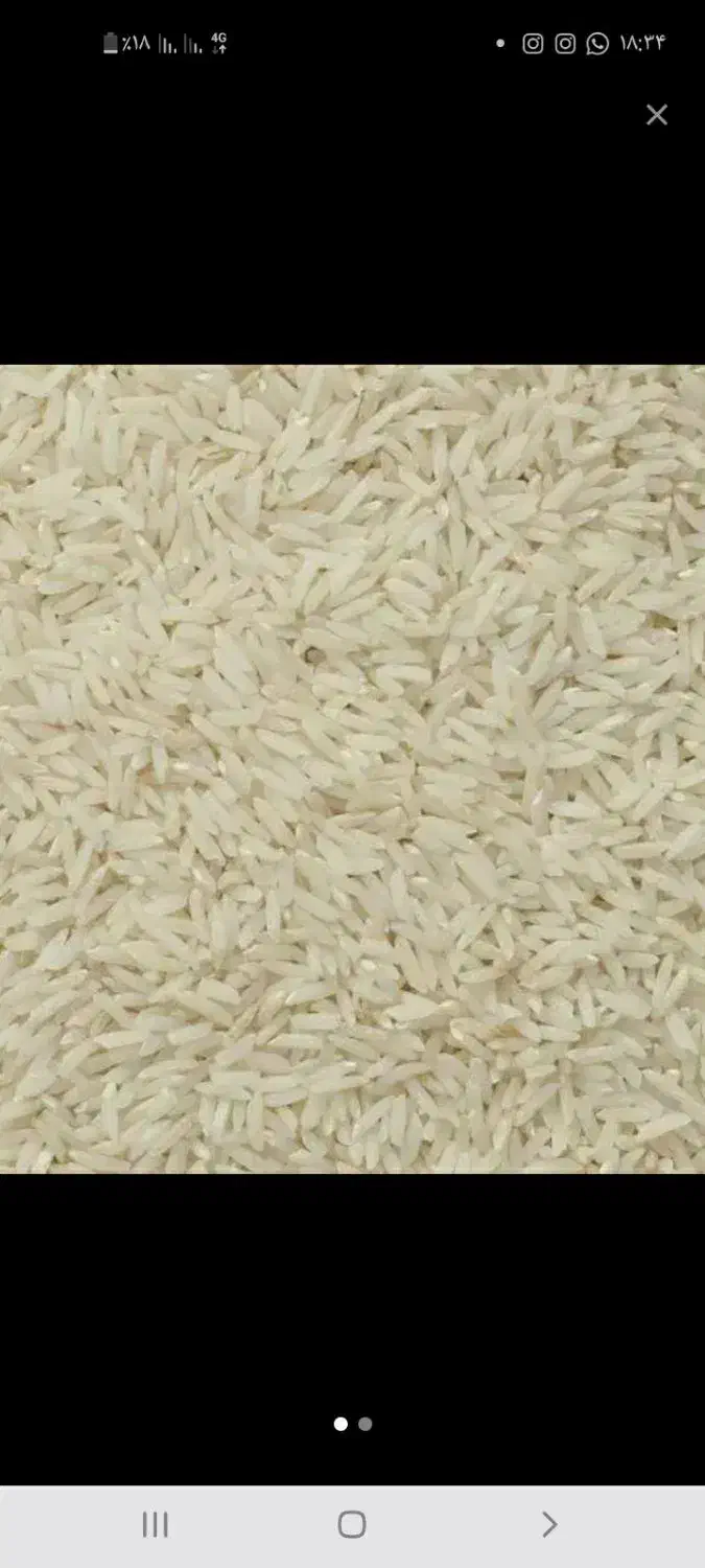 برنج|خوردنی و آشامیدنی|قزوین, |دیوار