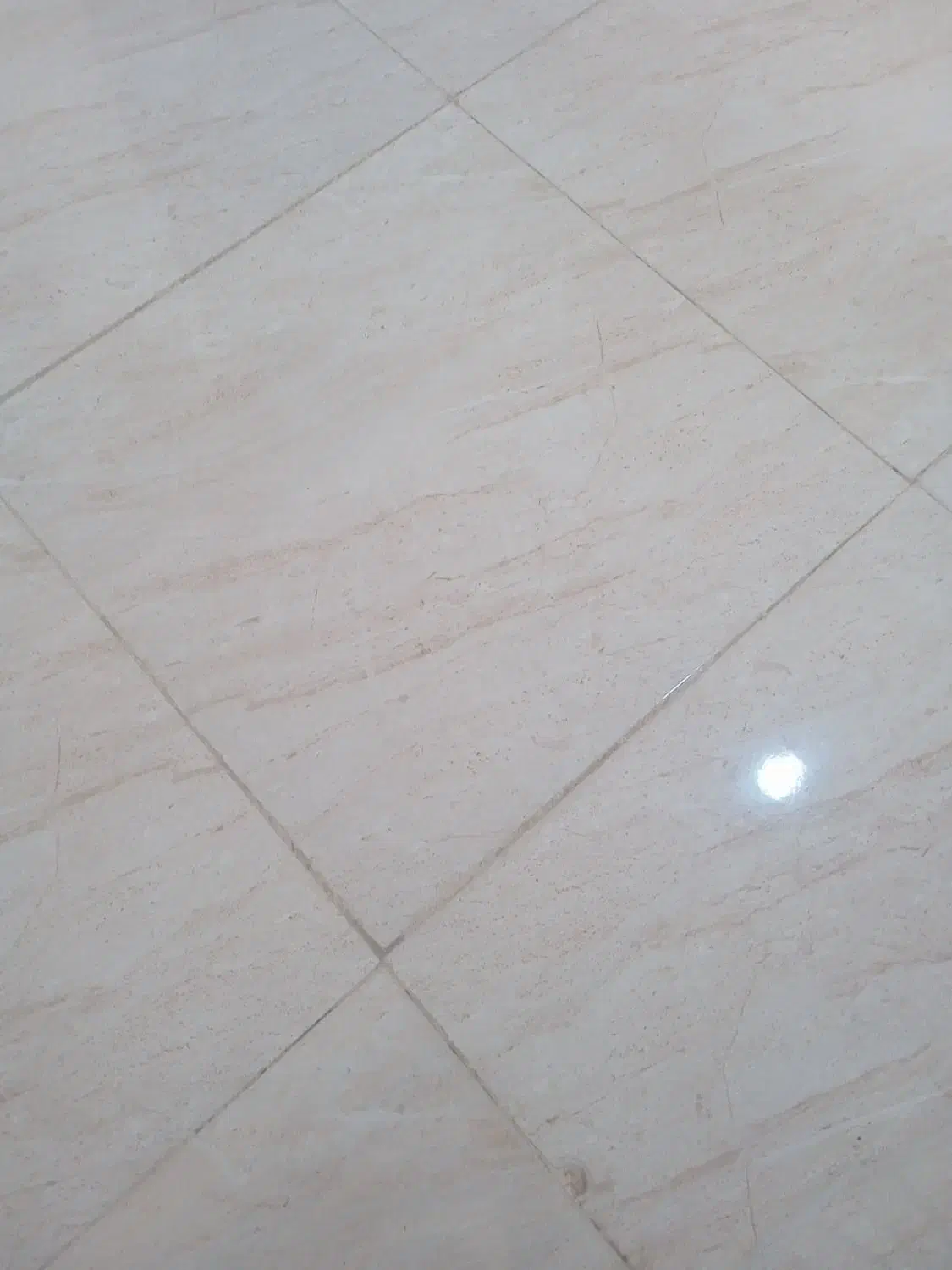 کار در رستوران|استخدام خدمات فروشگاه و رستوران|زابل, |دیوار