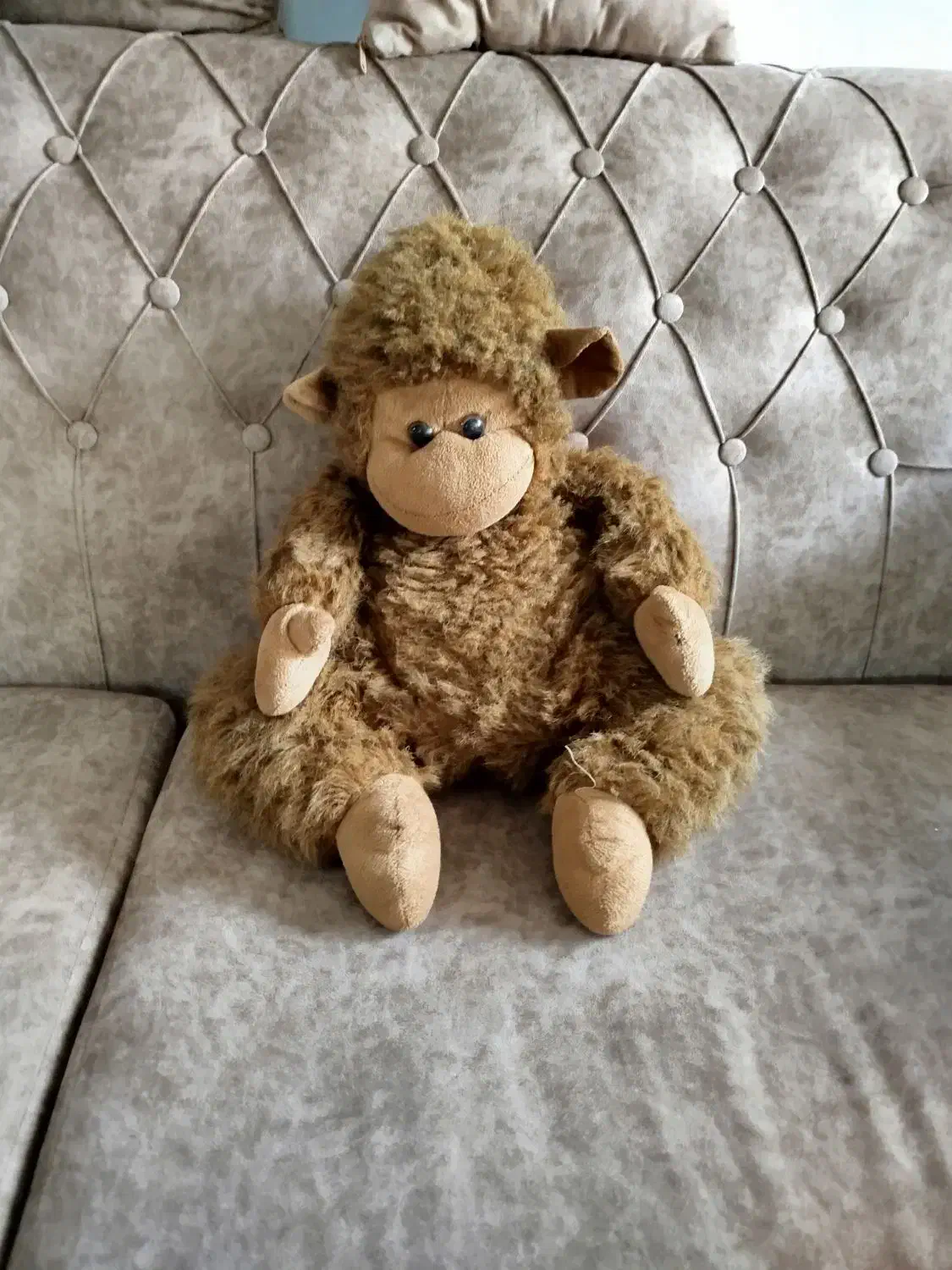 عروسک|اسباب‌‌بازی|ساوه, |دیوار