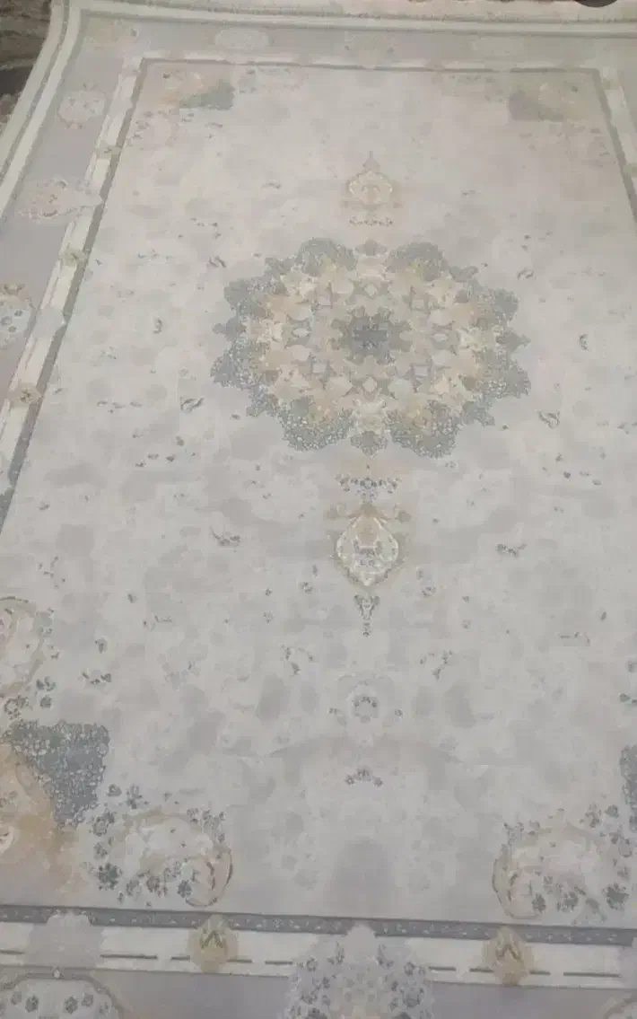 فرش نو|فرش|زاهدان, |دیوار