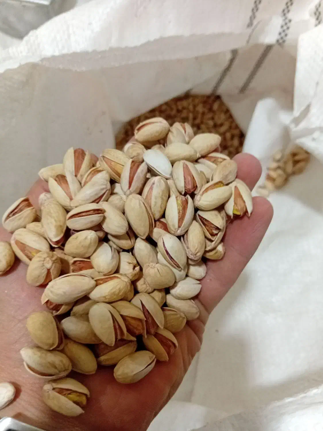 زعفران وخشکبار|خوردنی و آشامیدنی|شیراز, احمدی جنوبی|دیوار