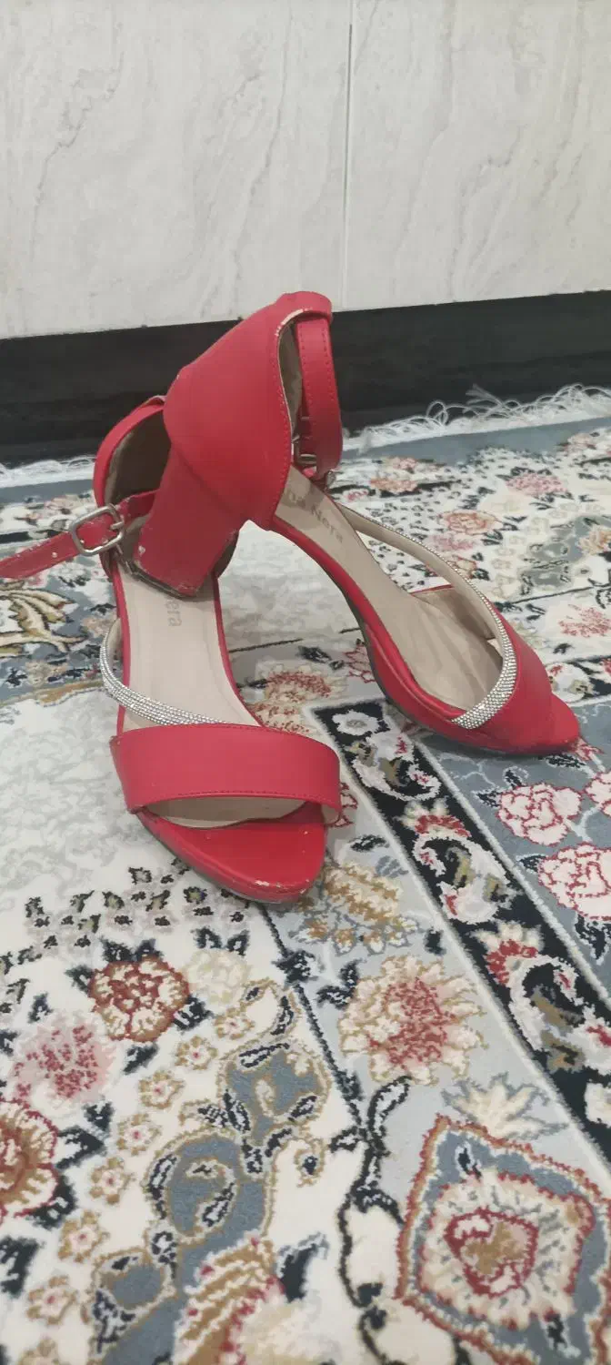 کفش مجلسی|کیف، کفش، کمربند|جوانرود, |دیوار