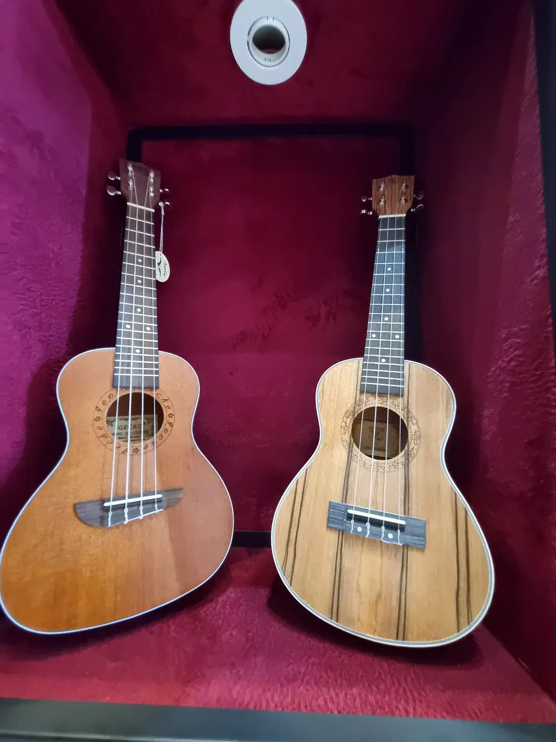 فروش انواع گیتار یوکله له پیکاب دار و ساده|گیتار، بیس، امپلیفایر|اردبیل, |دیوار