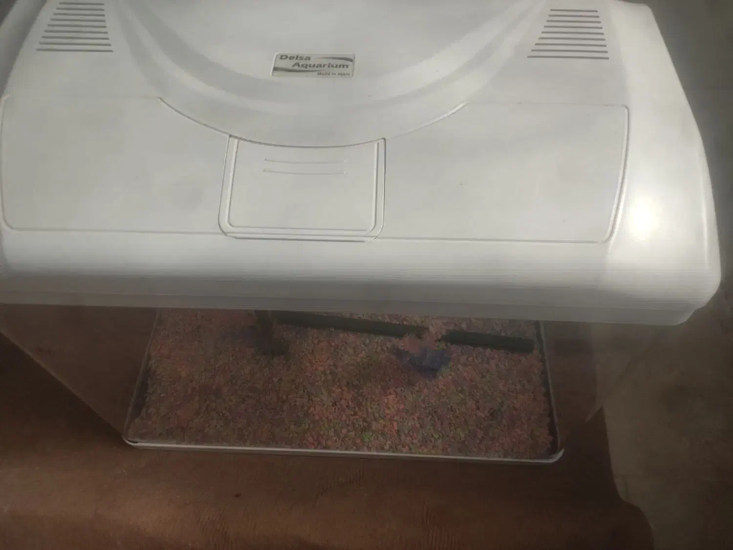 آکواریوم شیشه خم شرکتی در حد نو با تمام وسایل|ماهی|حمیدیا, |دیوار