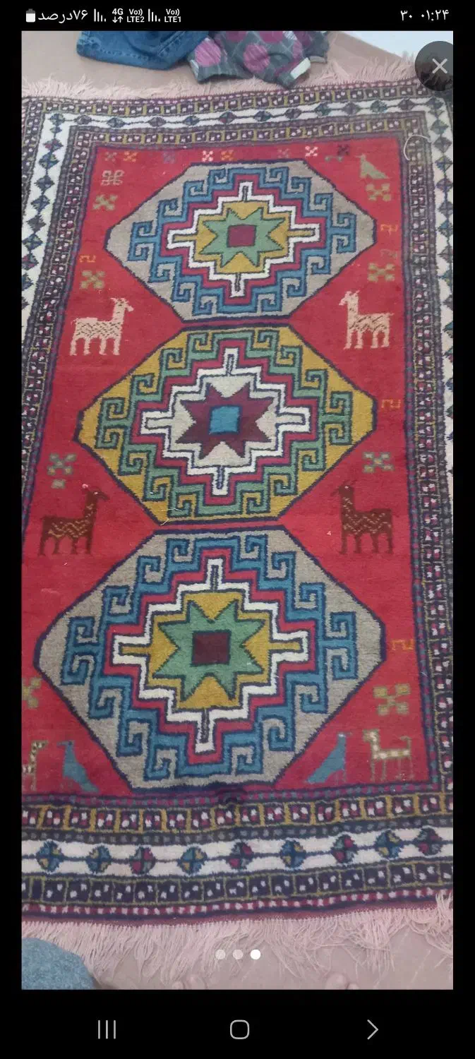 فرش دست باف|فرش|مشهد, کوی دروی|دیوار