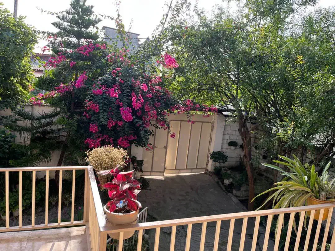 ویلاباغ جنگلی / مستقل / مدارک کامل|فروش خانه و ویلا|امامزاده عبدالله, |دیوار