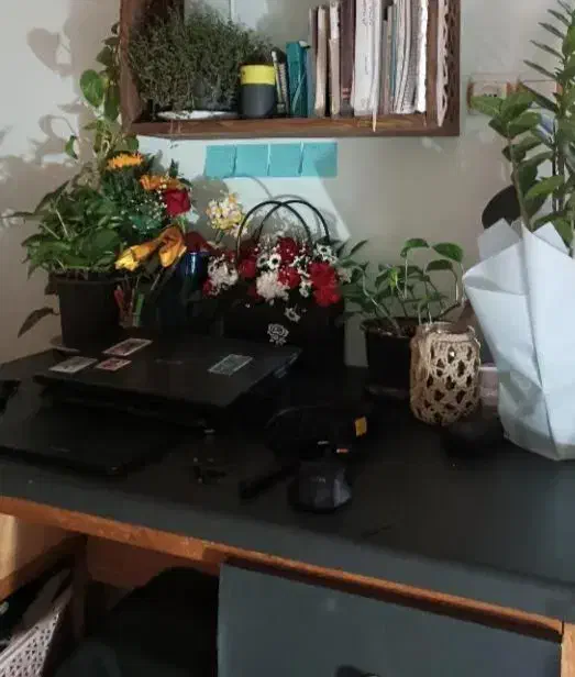 میز تحریر|میز تحریر و کامپیوتر|رشت, ساغری سازان|دیوار