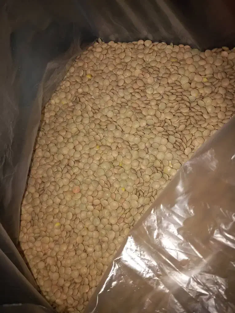 حبوبات|عمده‌فروشی|شیراز, شهرک مهدی‌آباد|دیوار