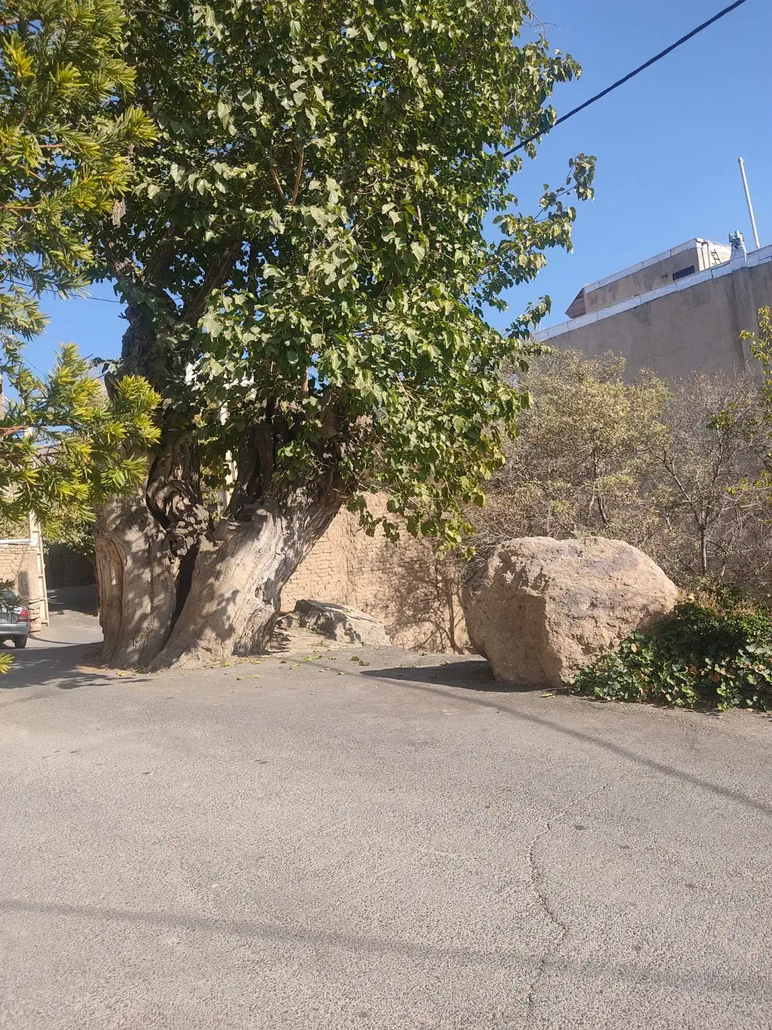 خونه اجارهای رهن|اجارهٔ آپارتمان|لواسان, |دیوار