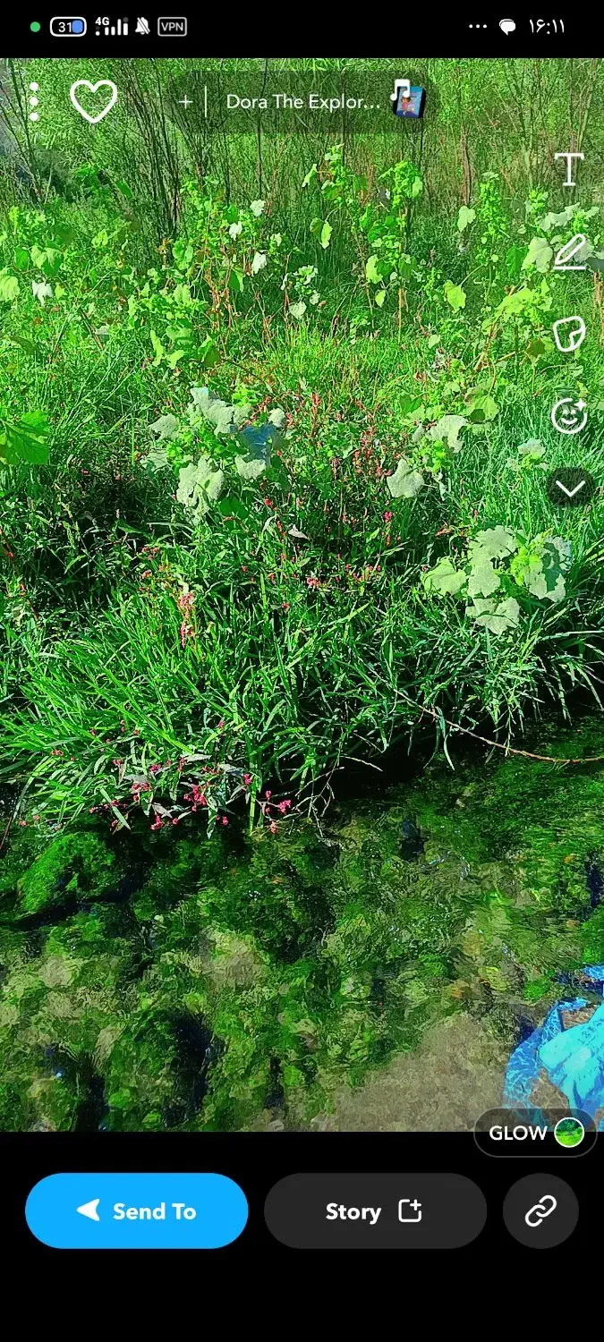 شالیزاری|فروش دفتر صنعتی، کشاورزی، تجاری|اردل, |دیوار