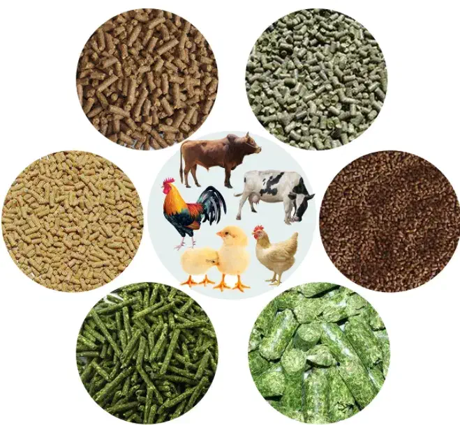 نیروی کار با آسیاب|استخدام صنعتی، فنی، مهندسی|زنجان, |دیوار