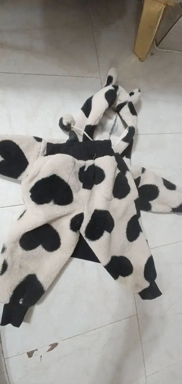 لباس|کفش و لباس بچه|فردوس (خراسان), |دیوار