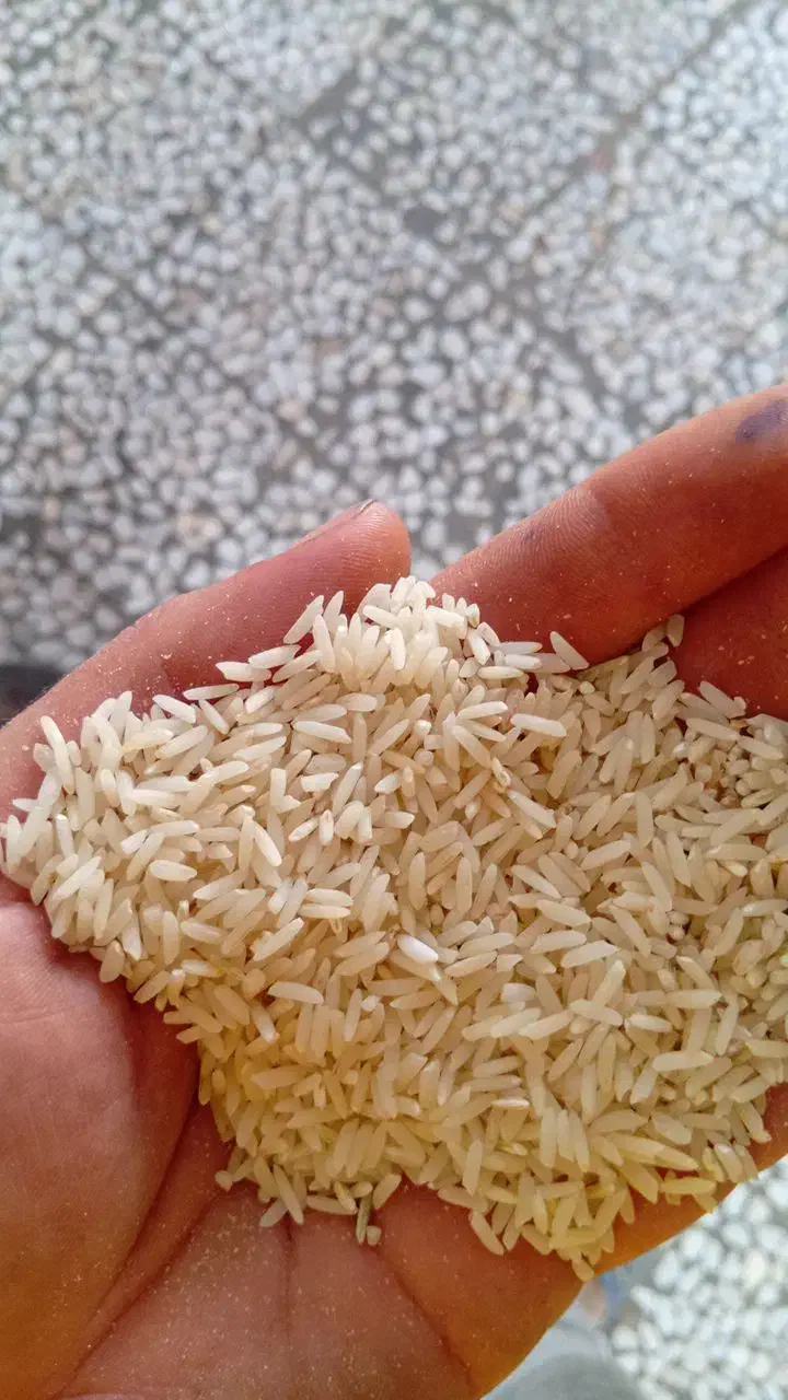 برنج هاشمی الموت|خوردنی و آشامیدنی|محمدیه-قزوین, |دیوار