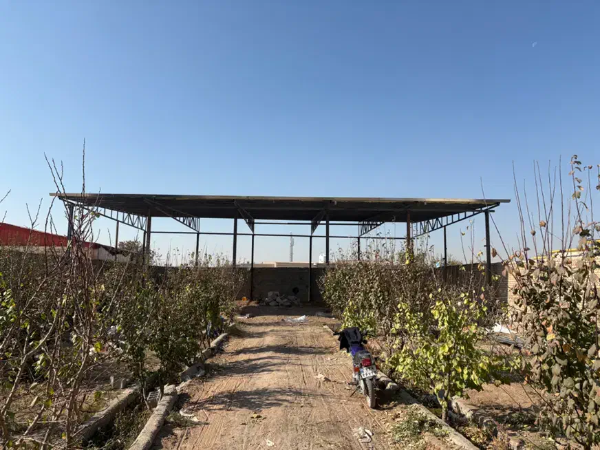 دامداری اجاره ای|اجارهٔ دفتر صنعتی، کشاورزی، تجاری|شهریار, بکه|دیوار