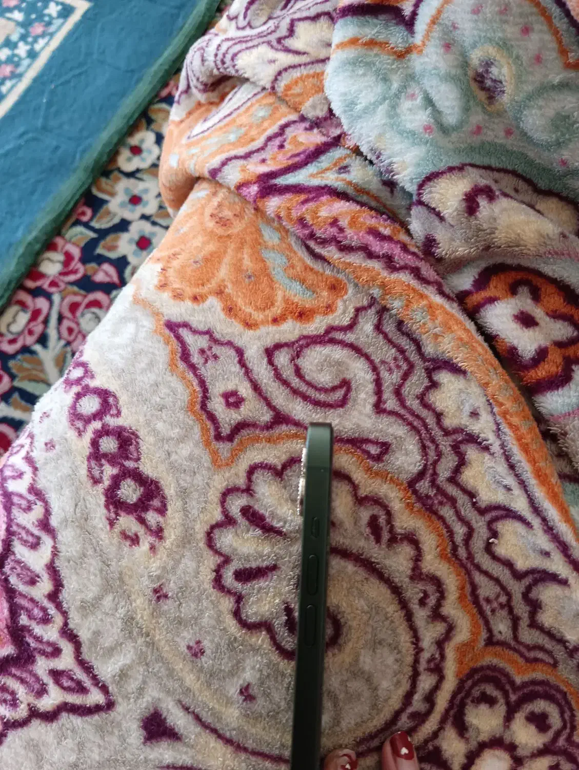 آیفون 13نرمال|موبایل|کرمان, |دیوار