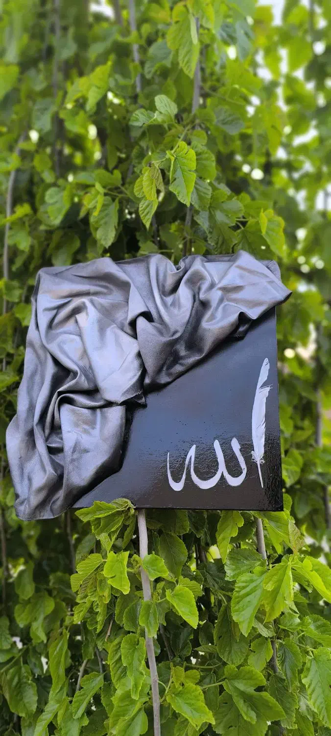 تابلو دکوراتیو لوکس|تابلو، نقاشی، عکس|قره ضیاالدین, |دیوار