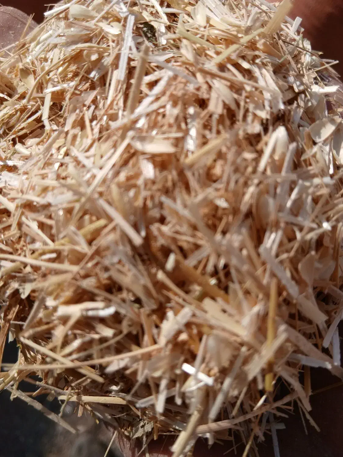 کاه حدودا دو تن|حیوانات مزرعه|ایواوغلی, |دیوار