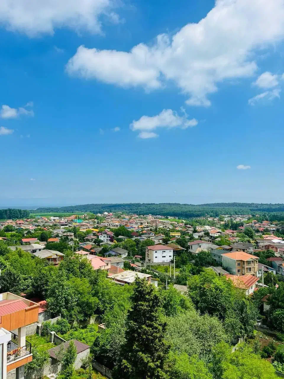 زمین‌جنگلی‌کوهستانی200متری+سندعرصه‌عیان+ویو‌جنگل|فروش زمین و ملک کلنگی|چمستان, |دیوار