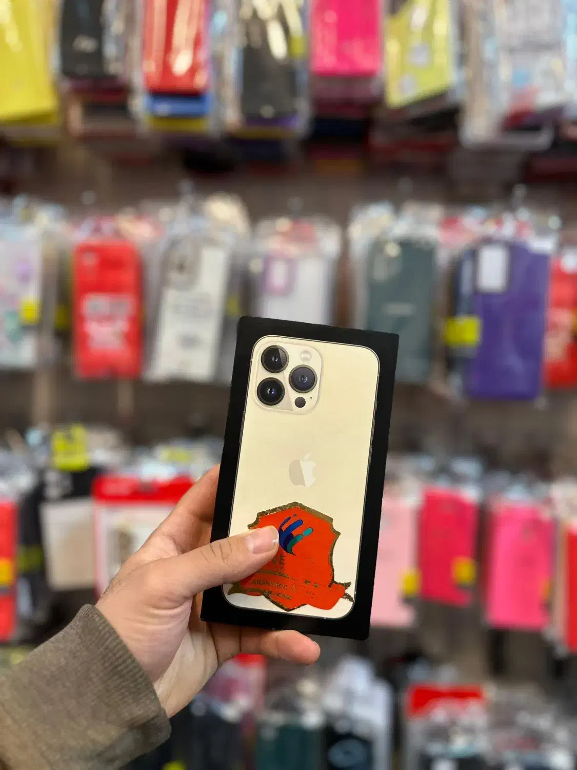 iphone 13 pro پک اصلی نات اکتیو|موبایل|شیراز, زند|دیوار