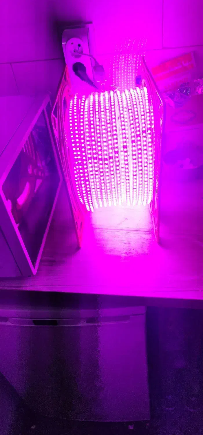 ریسە 20سانت برش 3535 و2835|ریسه و چراغ تزئینی|تهران, لاله زار|دیوار