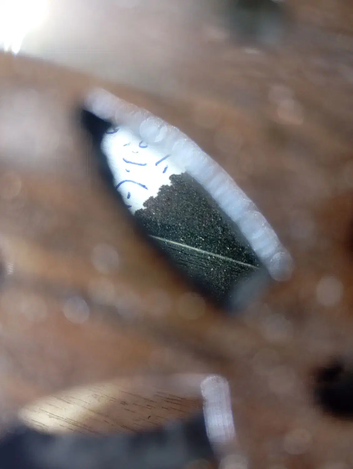 سنتور استاد آب یار|سازهای سنتی|شیراز, زند|دیوار