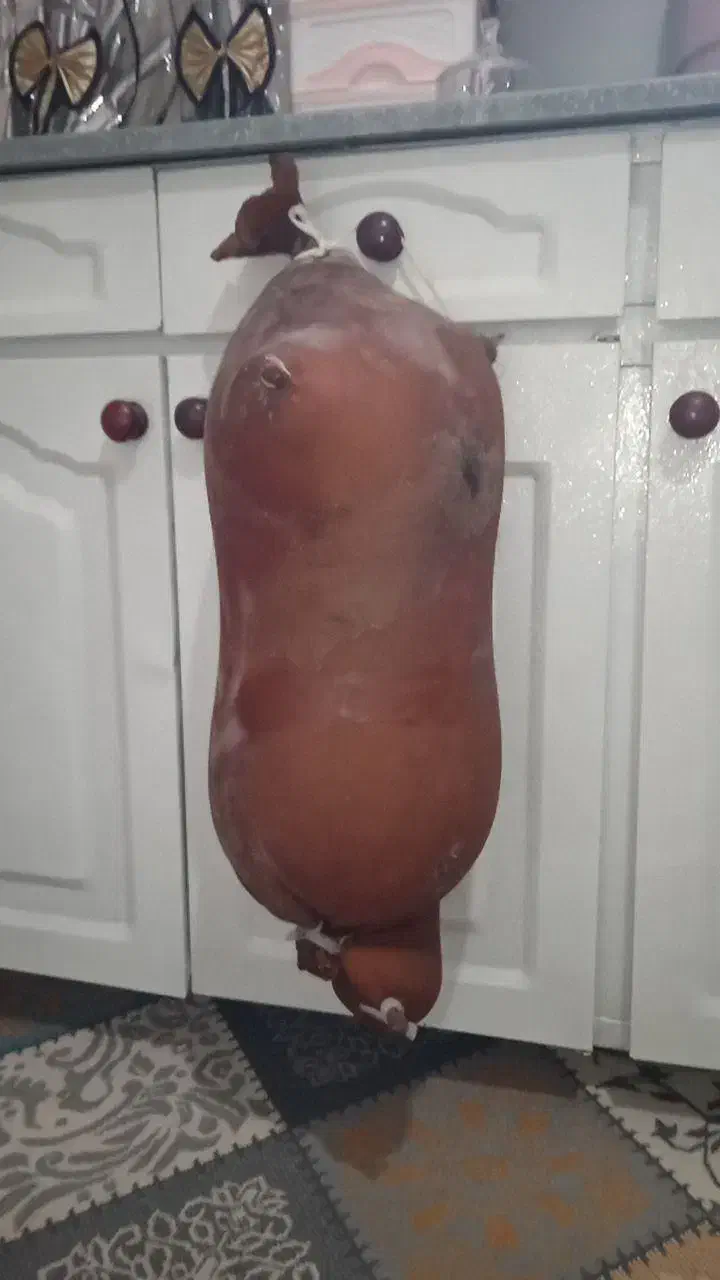 هیزه سالم|ظروف نگهدارنده، پلاستیکی، یک‌بارمصرف|دورود, |دیوار