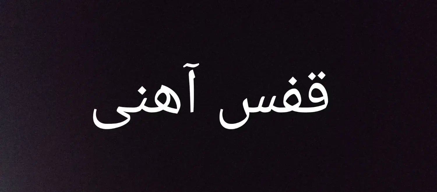 قفس آهنی بزرگ|لوازم جانبی حیوانات|بردسکن, |دیوار