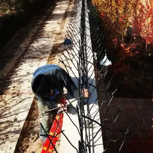 تولید نرده های شاخ گوزنی|خدمات پیشه و مهارت|معصومیه, |دیوار