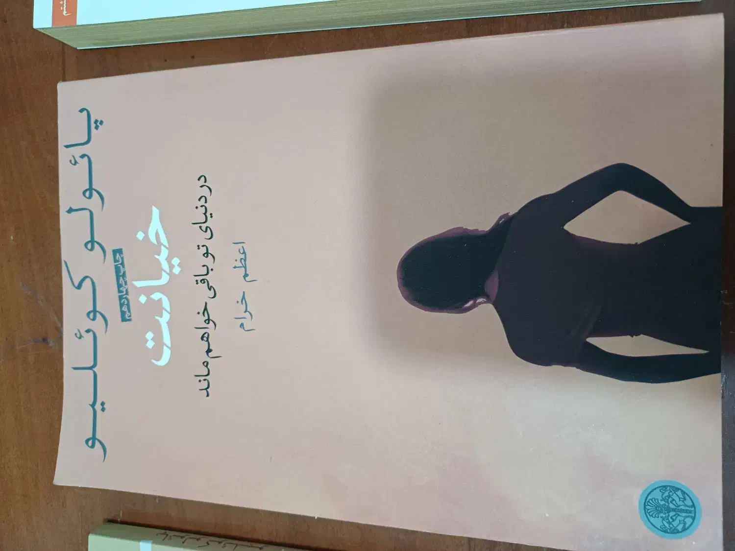 فروش تعدادی کتاب رمان نو|کتاب و مجله ادبی|شیراز, پودنک|دیوار