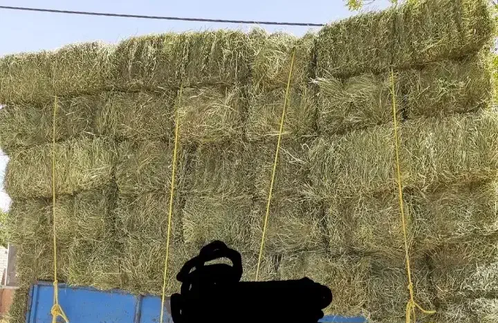 یونجه انباری|عمدهفروشی|دشتابی, |دیوار