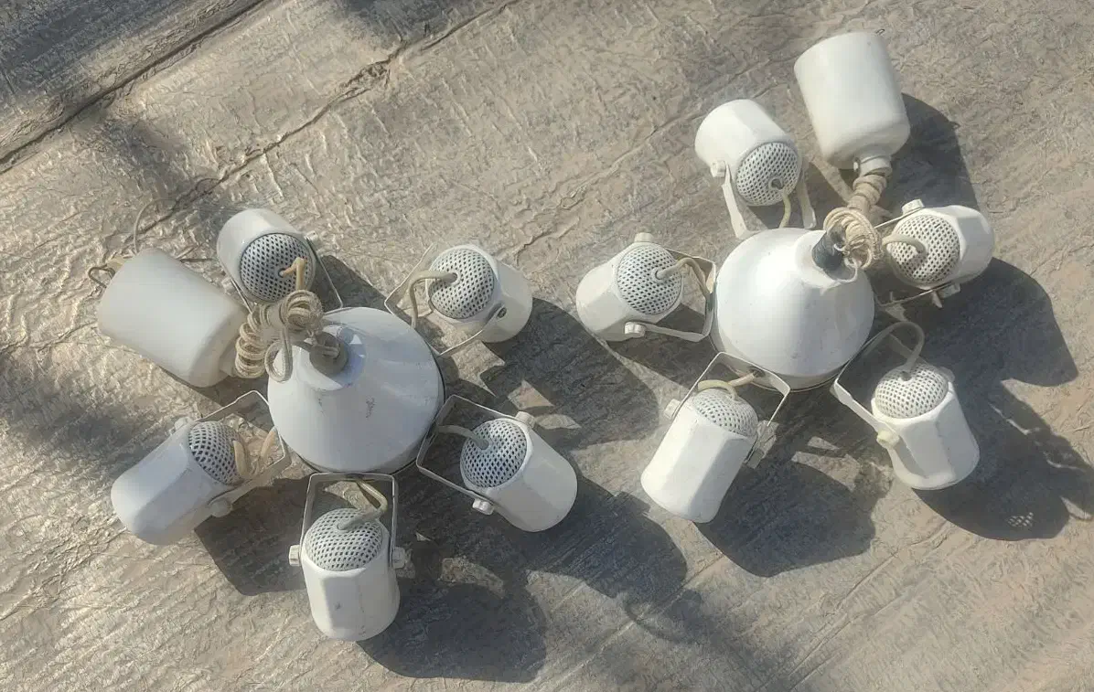 لوستر شاخه ای|لوستر و چراغ آویز|قم, گلزار|دیوار