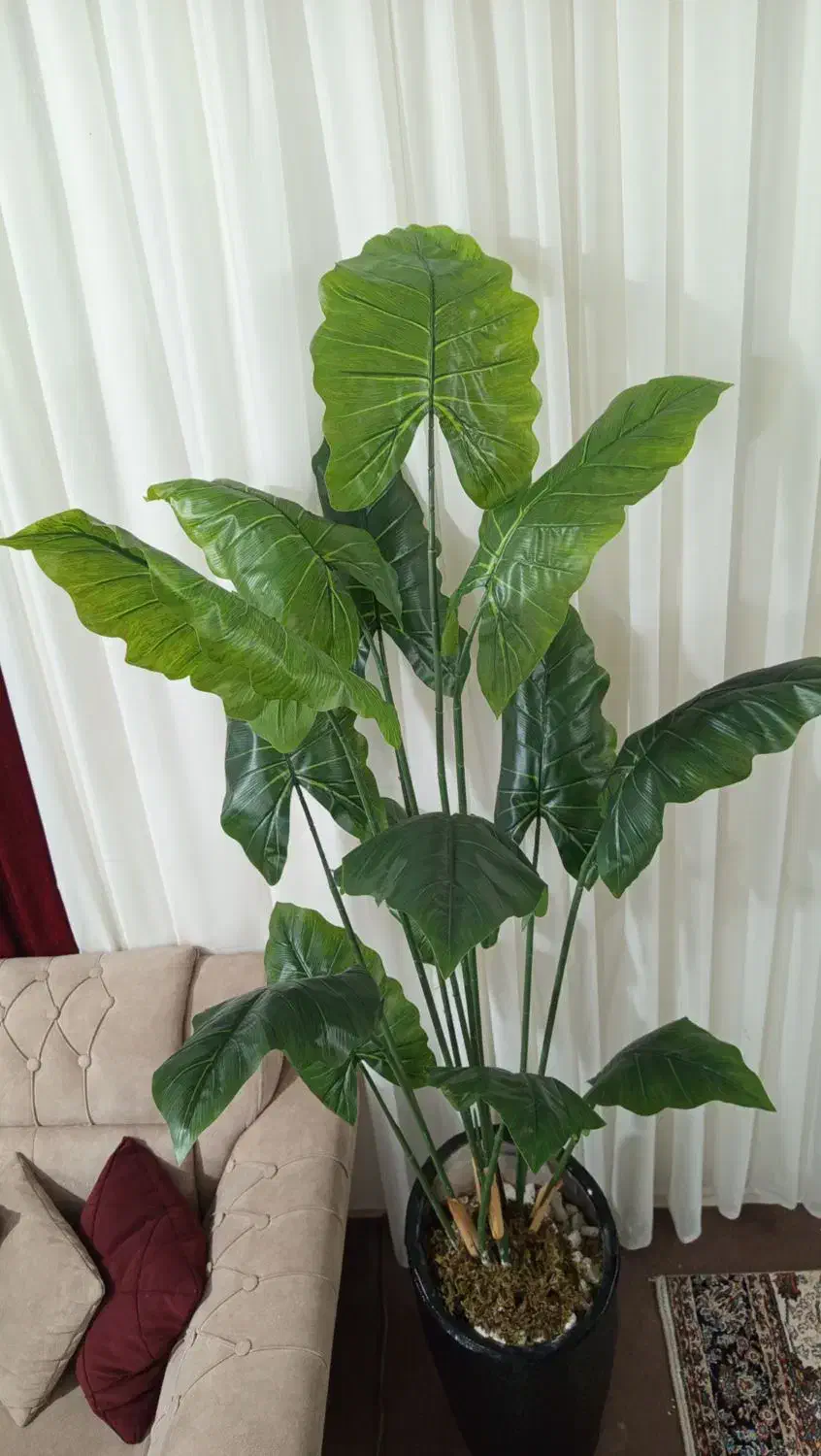 درختچه مصنوعی وارداتی|گل مصنوعی|زاهدان, |دیوار