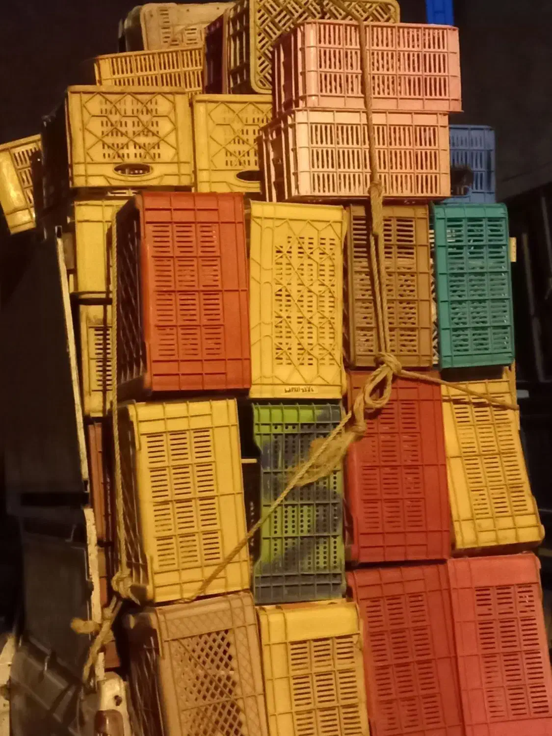 سبد|عمده‌فروشی|مشهد, مهدی آباد|دیوار