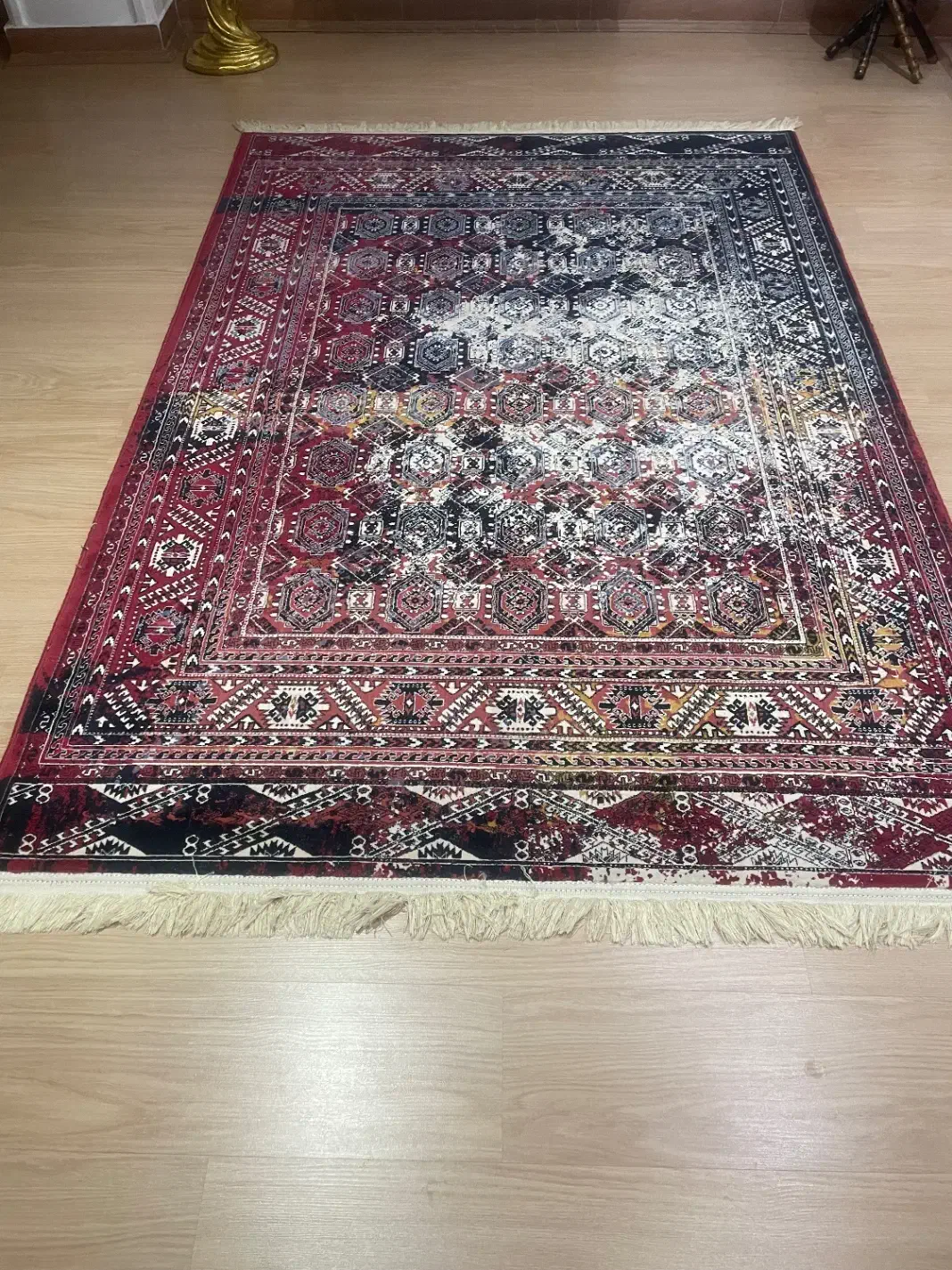 فرش ۴ متری|فرش|رشت, کاکتوس|دیوار