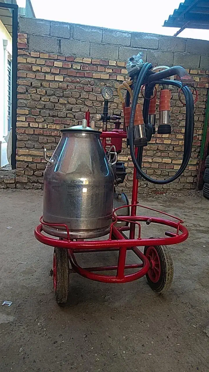 شیردوش|لوازم جانبی حیوانات|گنبد کاووس, |دیوار