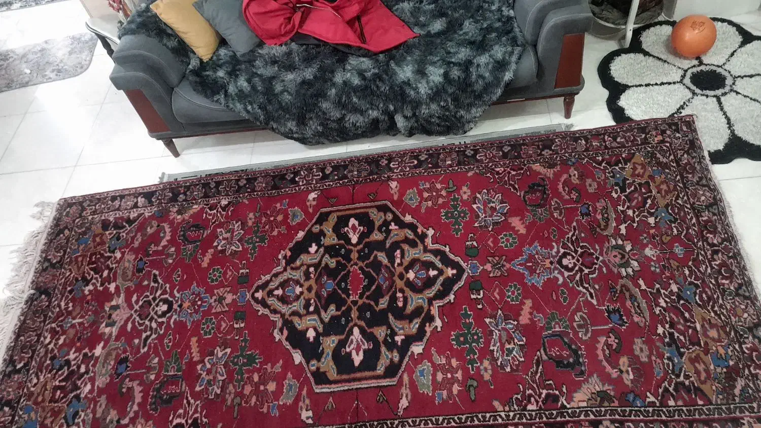 فرش تمام پشم دستبافت|فرش|شاهین‌شهر, حافظ شمالی|دیوار