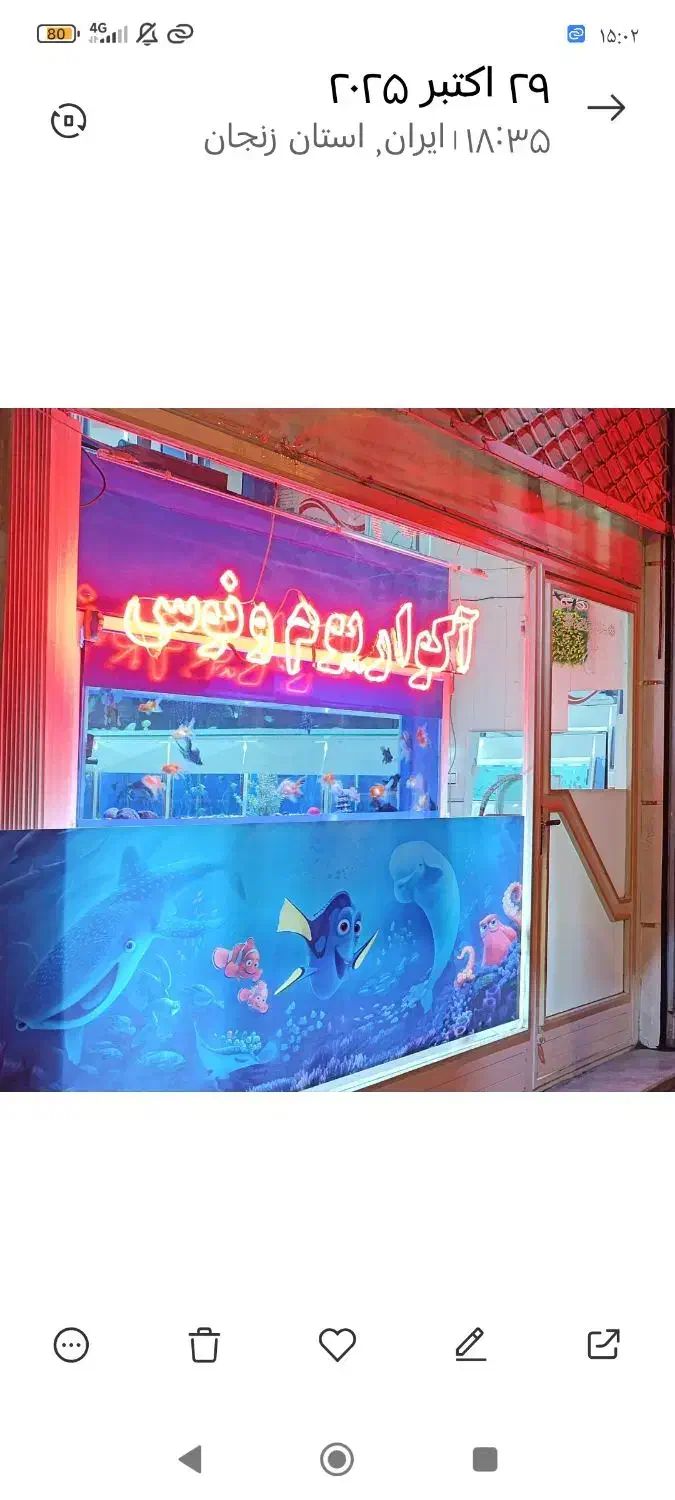 بارجدیدماهی ولوازم درآکواریوم ونوس رسید|ماهی|زنجان, |دیوار