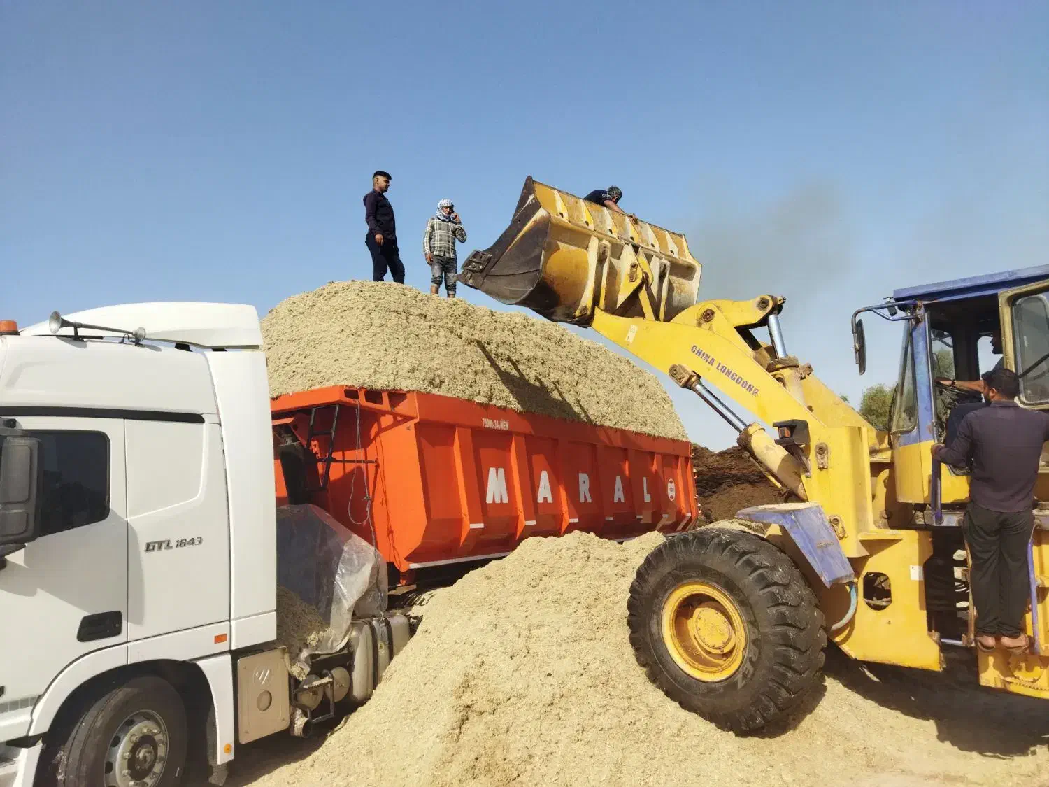 کاه نیشکر علوفه|لوازم جانبی حیوانات|سبزوار, قصبه غربی|دیوار