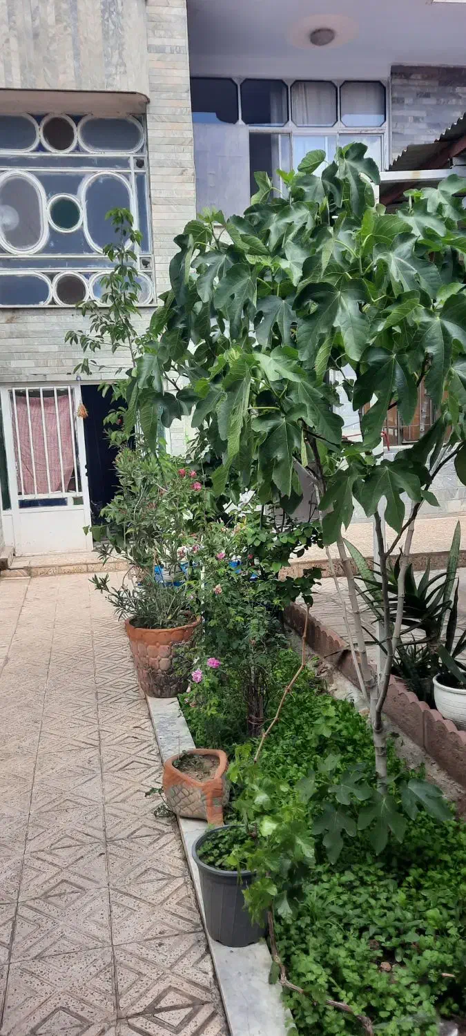 اجاره سوئیت های یک خوابه و دوخوابه ۵۰ و ۸۵ متری|اجارهٔ کوتاهمدت آپارتمان و سوئیت|قزوین, |دیوار