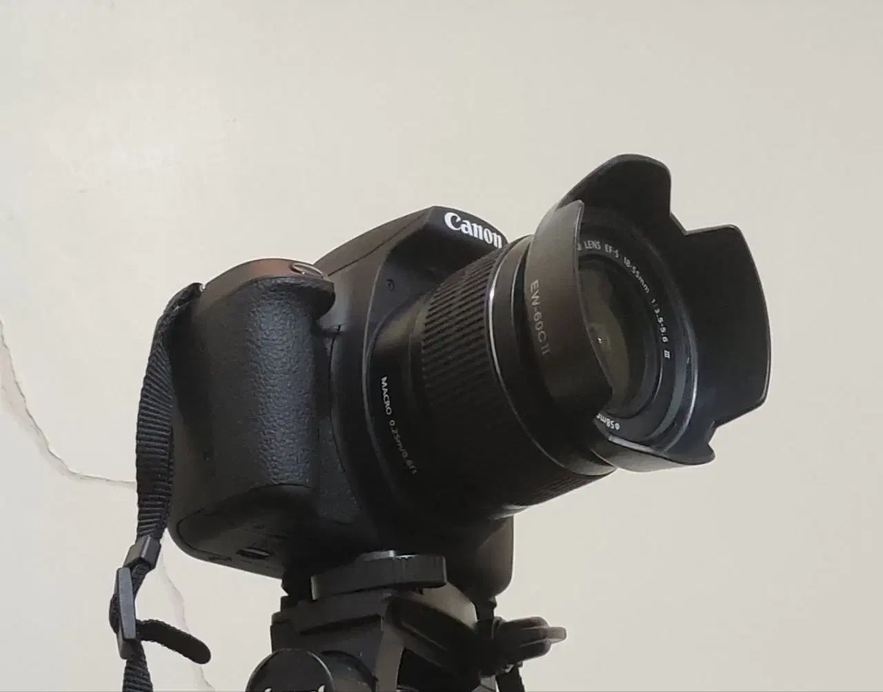 canon 2000D|دوربین عکاسی و فیلم‌برداری|همدان, |دیوار