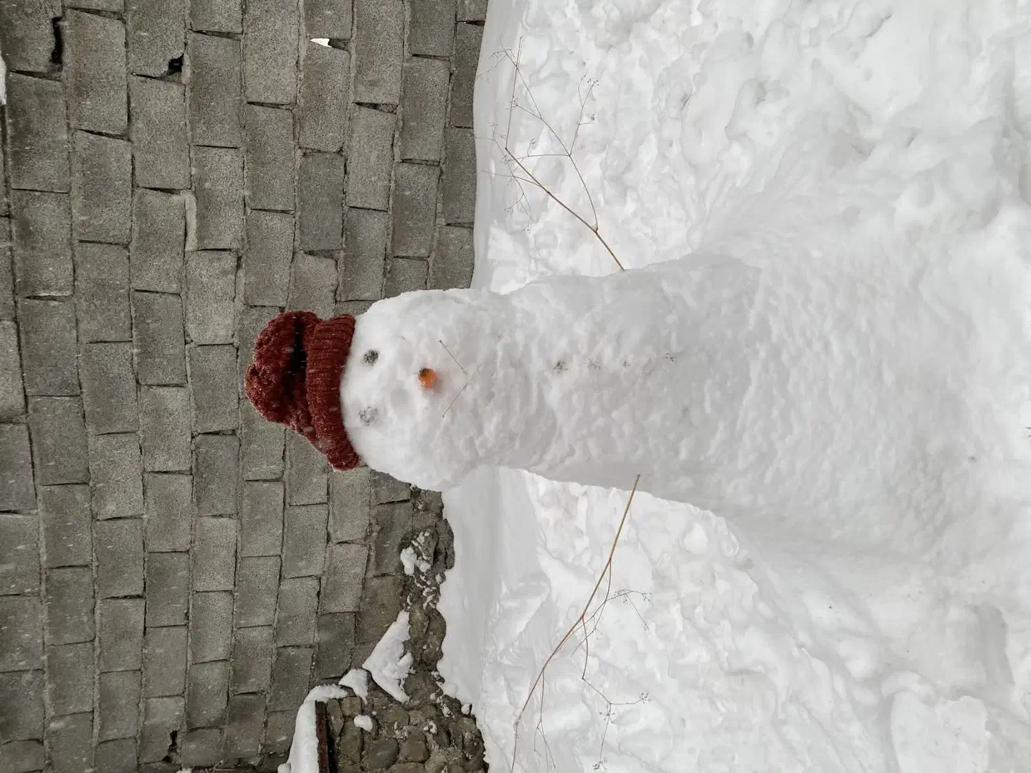 طبیعت گردی|فعالیت داوطلبانه تحقیقاتی|کرج, جهان‌شهر|دیوار