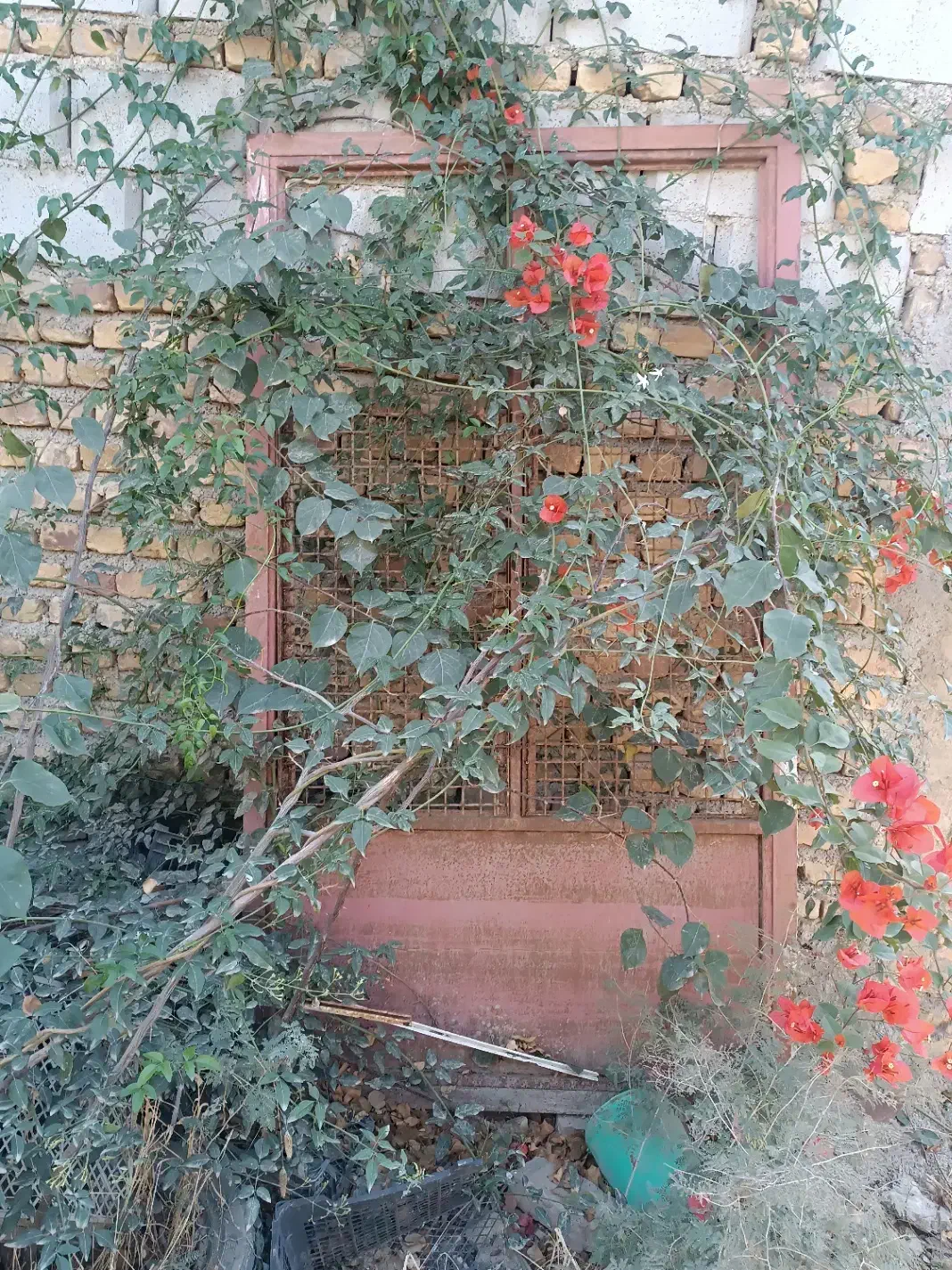 دو عدد در آهنی سنگین سالم بدون زنگ زدگی|مصالح و تجهیزات ساختمان|گنبد کاووس, |دیوار