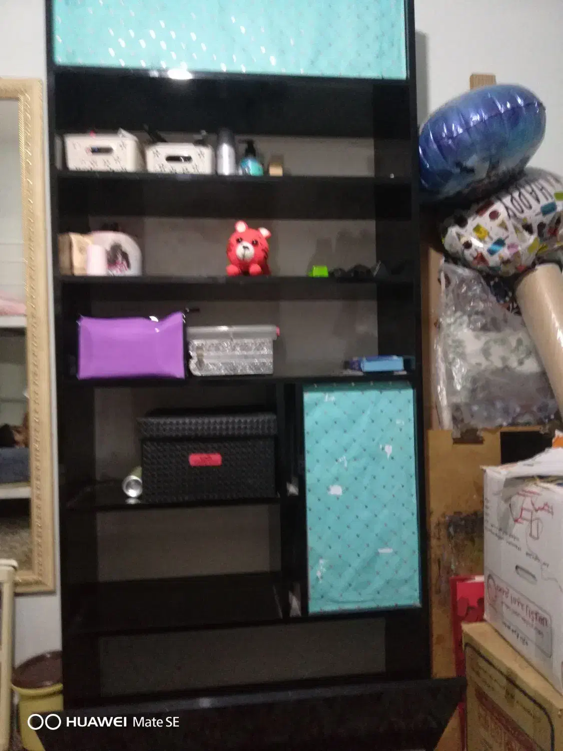 کتابخانه ویترین کمد|کتابخانه، شلف، قفسههای دیواری|شیراز, تاچارا|دیوار