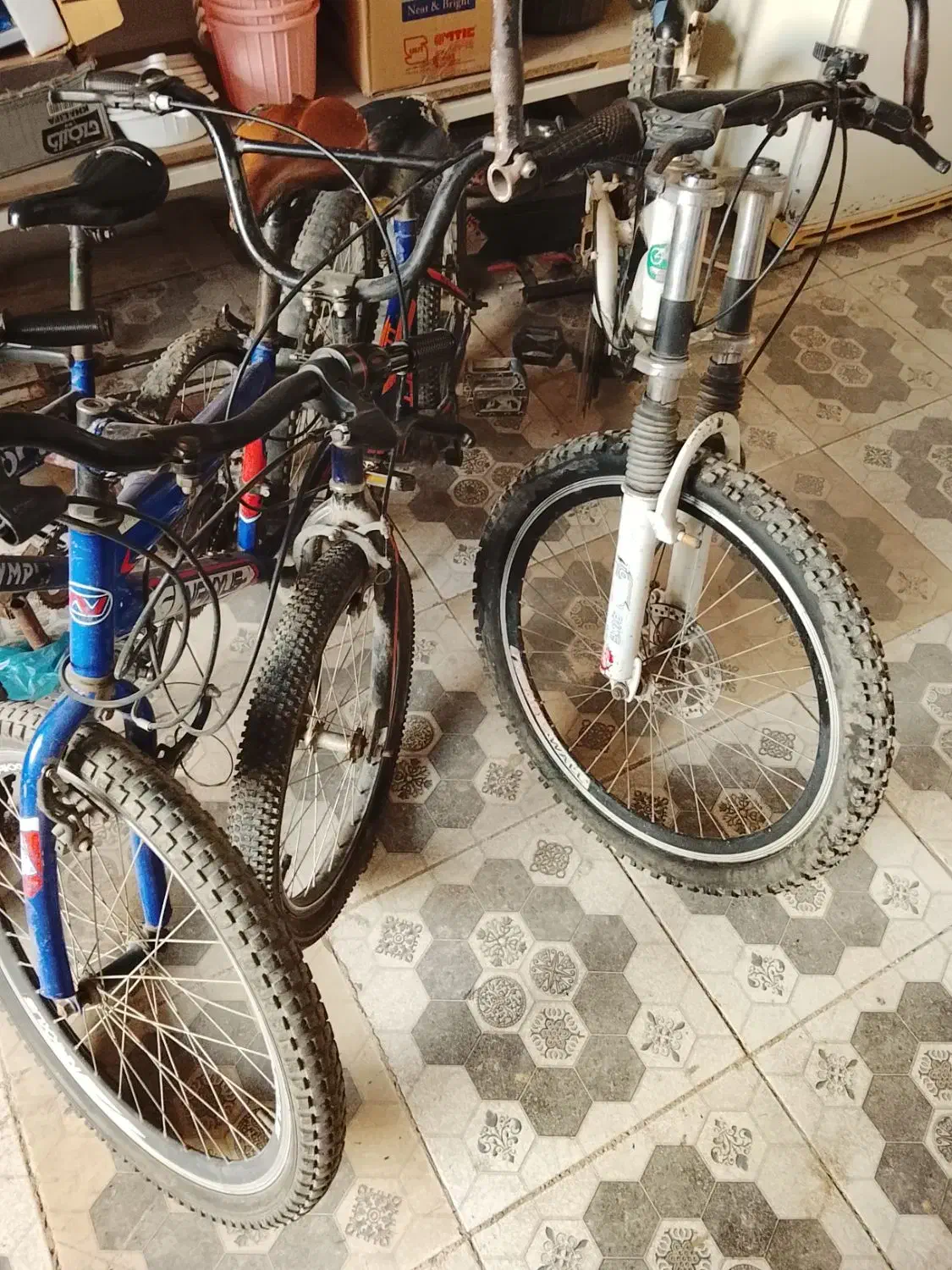 چهار عدد دوچرخه|دوچرخه، اسکیت، اسکوتر|گنبد کاووس, |دیوار