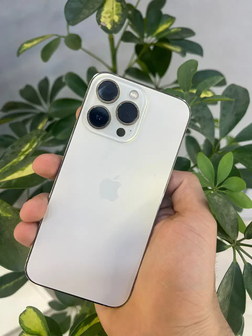 آیفون Apple 13 pro با حافظه ۱ ترابایت|موبایل|مشهد, عامل|دیوار