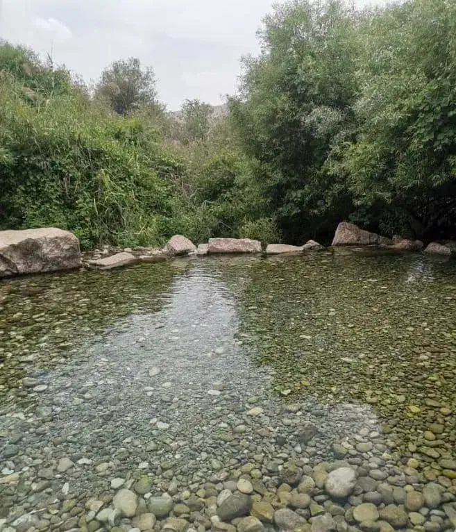 تور باغملک حضرت سلیمون|تور و چارتر|اهواز, کوی ترابری|دیوار