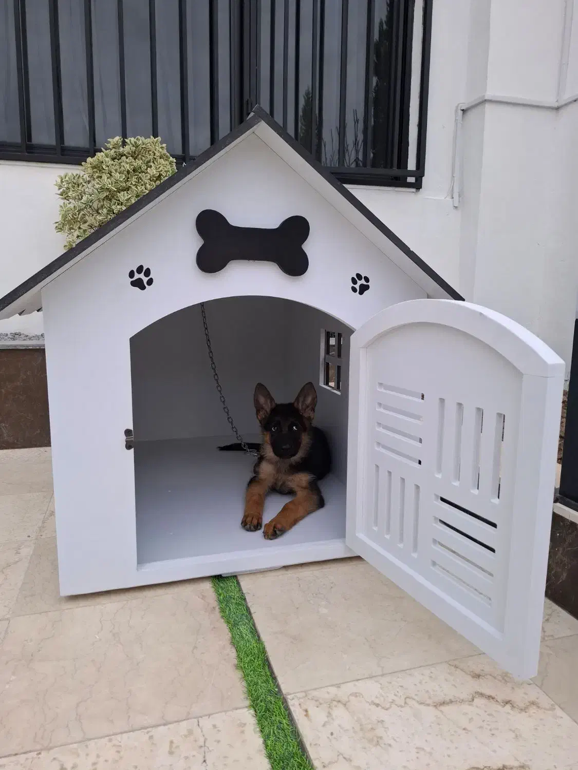 لانه ی سگ نژاد بزرگ|لوازم جانبی حیوانات|آمل, |دیوار