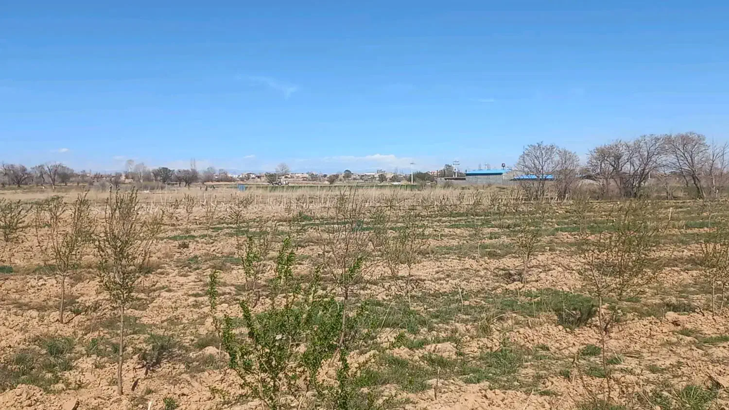 زمین 4طرف راه  متراژ2400متر|فروش زمین و ملک کلنگی|رامند, |دیوار