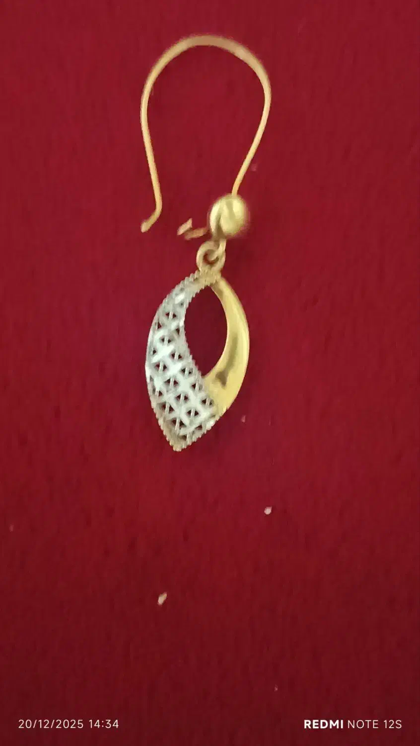 گوشواره گم شده|اشیا|مشهد, طبرسی شمالی|دیوار