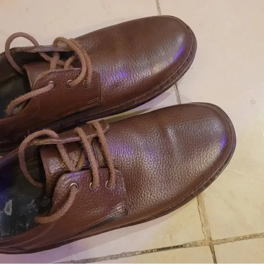 کفش شهپر مدل کلارک|کیف، کفش، کمربند|شیراز, تاچارا|دیوار